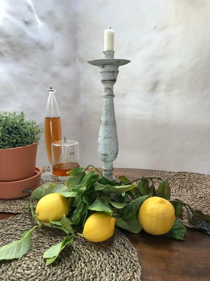 Casa Alegria Daire Los Valles Dış mekan fotoğraf